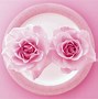 Image result for Pink Rose Desktop Wallpaper
