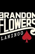 Image result for Brandon Flowers Flamingo