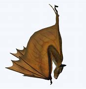 Image result for Upside Down Bat Open Wings