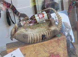 Image result for Drunke Armadillo