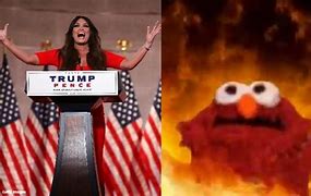 Image result for Kimberly Guilfoyle Plastic