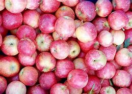 Image result for Fat Sack of Apple's