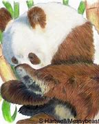 Image result for Giant Panda Habitat Map