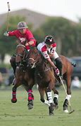 Image result for Polo Wear