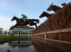 Image result for Steeplechase Horse Race