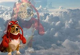 Image result for Lobster Dog Meme