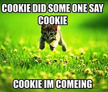 Image result for Best Cookies Ever Meme