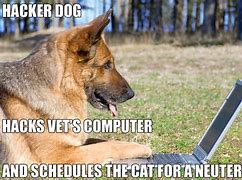 Image result for Hacker Dog Meme