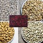 Image result for Vietnamese Coffee Beans