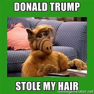 Image result for New Trump Memes 2018