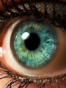 Image result for Aqua Green Eyes