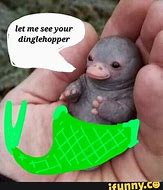 Image result for Dinglehopper Meme