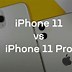 Image result for iPhone 11 versus iPhone 12 Mini