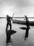 Image result for Raking Clams
