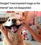 Image result for What Meme Image