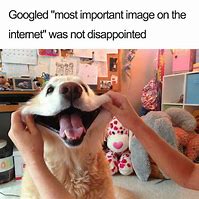 Image result for Top Dog Meme