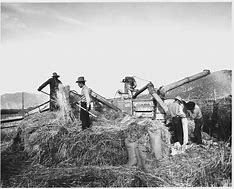 Image result for Agricultural Revolution