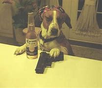 Image result for Walter as a Gangster Dog