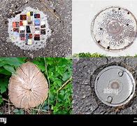 Image result for Round Normal Things