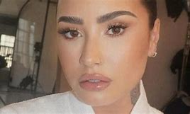 Image result for Demi Lovato Fans