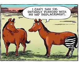 Image result for Hip-Replacement Jokes