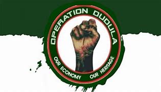 Image result for Operation Dudula