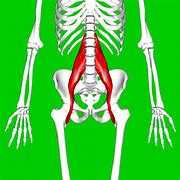 Image result for What Is the Main Body Technique
