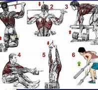 Image result for 4 Best Back Exercises