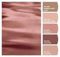 Image result for Rose Gold Paint Color Palettes