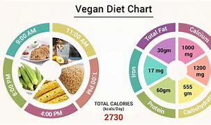 Image result for Vegan Diet Cholesterol