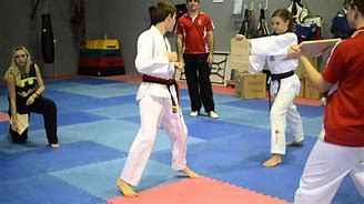 Image result for Martial Arts Breaking Techniques