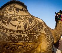 Image result for Pushkar Camel Fair Rajasthan Tourism
