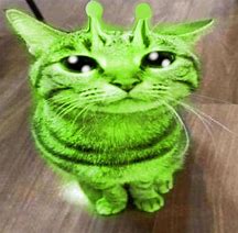 Image result for Cat Durp
