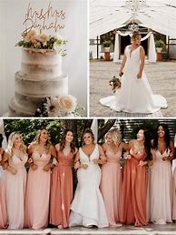 Image result for Coral and Champagne Wedding Colors