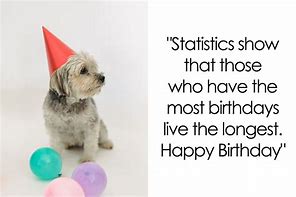 Image result for Funny Happyvbirthday Wishes