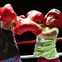 Image result for Home Boxing Show