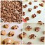 Image result for Chocolate Pecan Turtle Candy Recipes