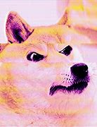 Image result for Aesthetic Doge