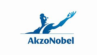Image result for akzo