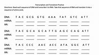 Image result for Transcription Practice Worksheet