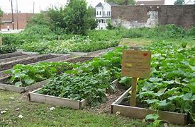Image result for local community garden