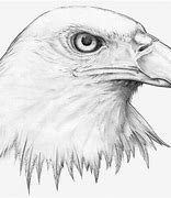 Image result for Black and White Drawing of Eagle