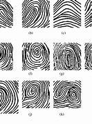 Image result for Fingerprint Diagram