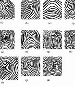Image result for Common Fingerprint Patterns