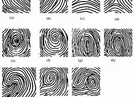 Image result for Core Fingerprints