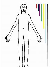 Image result for Golden Ratio Human Body