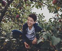 Image result for Apple Tree and Boy