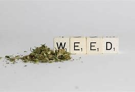 Image result for Weed Quotes Galaxy