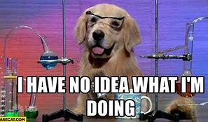 Image result for I Have No Idea What I'm Doing Dog Lab Meme