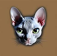 Image result for Angry Grey Cat Meme